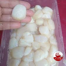 côi - Sò điệp - tươi / kg