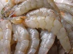 Tôm nớt tươi - bóc nõn  / kg