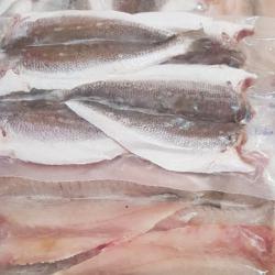 Cá lanh 1 nắng / kg