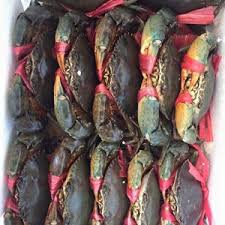 cua biển tươi-  thịt & Gạch  / kg