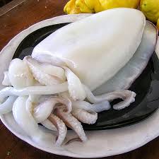 Mực mai - tươi / kg