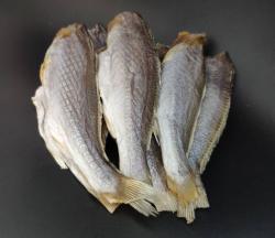 Cá đù 1 nắng / kg