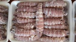 Bề bề thit - bóc nõn  / kg