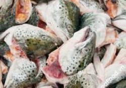 Thực phẩm ) Bộ Đầu Cá Hồi Tươi /kg