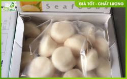 Cồi Sò Điệp Úc Nhập Khẩu