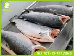 Cá Hồi Chile Nguyên Con Đông Lạnh